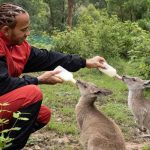 "$500,000 to Wires Wildlife Rescue"- When Mercedes driver donated half a million after knowing billion animals died in Australian fires