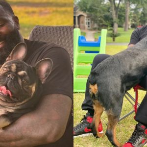 "Kendrick Perkins made $230K off four litters of French bulldog puppies": An insight into the former NBA player turned ESPN analyst's breeding business