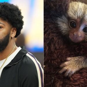“The monkey was playing peek-a-boo and I found it dope”: When Anthony Davis explained how he decided to own Meek after playing with his teammate’s monkey