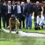 Sub air system in cricket stadium: How does sub air system at M Chinnaswamy Stadium Bengaluru work?