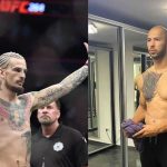 Sean O'Mallay Andrew Tate