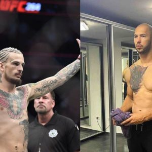 Sean O'Mallay Andrew Tate