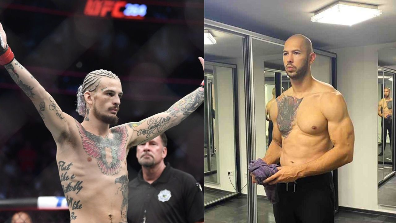 Sean O'Mallay Andrew Tate