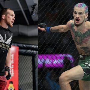 Sean O'Malley Petr Yann UFC 280