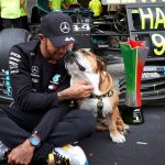 "Roscoe eats better than me"– Redditors envious over Lewis Hamilton's 15 inches tall dog's delicious vegan diet