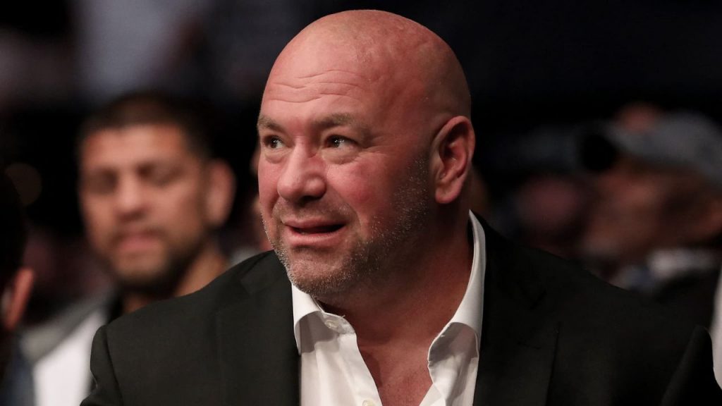 Dana White Fake
