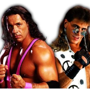 Bret Hart and Shawn Micheals