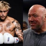 Jake Paul Dana White