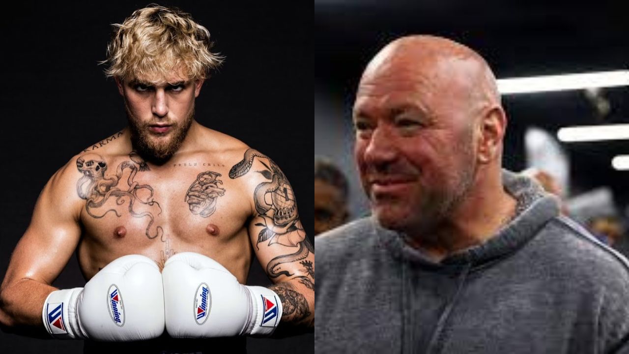 Jake Paul Dana White