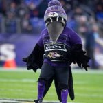 "It could only happen to the Ravens": NFL Twitter prays for Ravens' mascot Poe who sustained a gruesome leg injury during halftime game