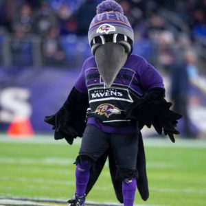 "It could only happen to the Ravens": NFL Twitter prays for Ravens' mascot Poe who sustained a gruesome leg injury during halftime game