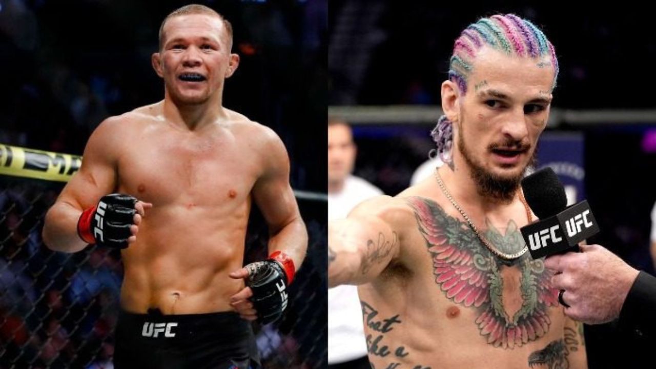 Aljamain Sterling Sean O'Malley Petr Yan