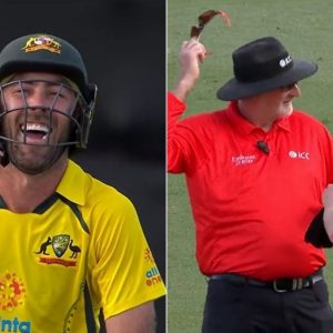 "Don't get sucked in by Neesh": Glenn Maxwell gives amusing reaction to umpire Paul Wilson's no-call on Jimmy Neesham delivery