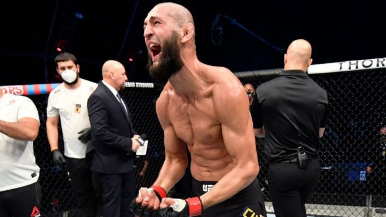 Khamzat Chimaev Next Fight