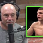 Nick Diaz Joe Rogan