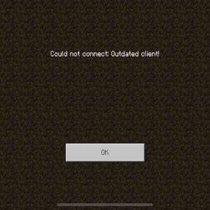 How to Fix an Outdated Client in Minecraft