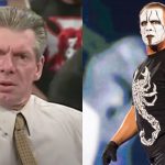 Vince McMahon Sting