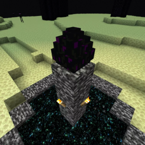 Top 5 Rarest Items in Minecraft and What They Do