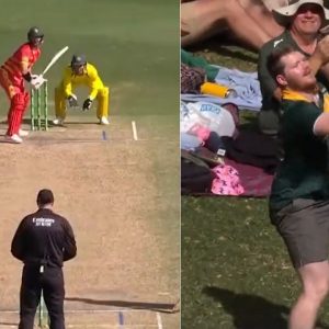 A fan scalped a stunning one-handed catch in the stands in the 3rd ODI match between Australia and Zimbabwe.
