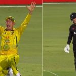 Marnus Labuschagne made a hilarious LBW against Finn Allen in the 3rd match of Australia vs New Zealand ODI series.
