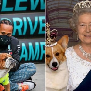 "We talked about our shared love of dogs": Lewis Hamilton mourns loss of Queen Elizabeth II while referring about their mutual love for dogs