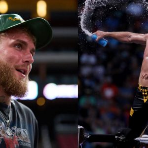 Logan and Jake Paul in WWE