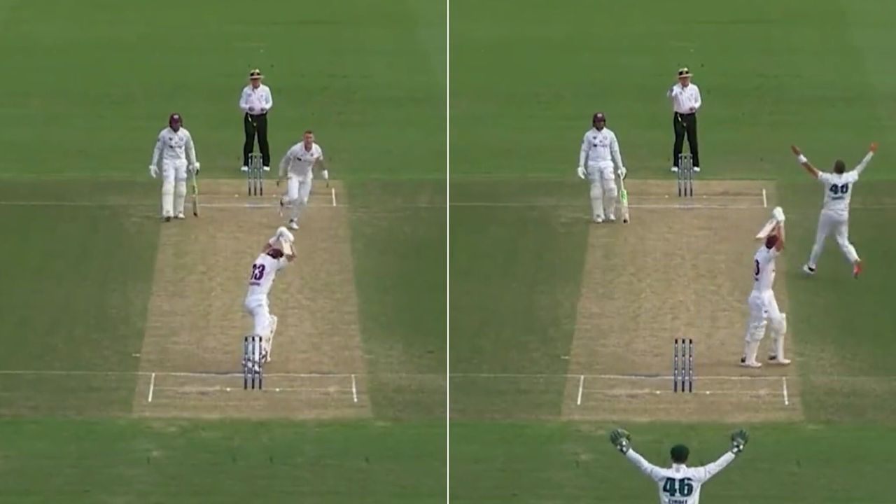 "He's actually walked": Marnus Labuschagne walks before Bruce Oxenford raises finger for lbw off Peter Siddle in Sheffield Shield