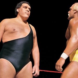 Hulk Hogan Andre The Giant
