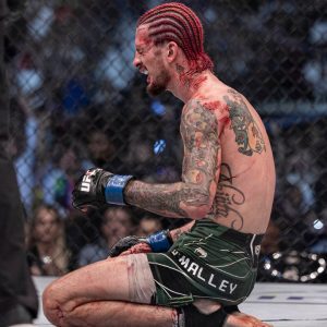 Sean O’Malley Petr Yan