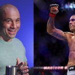 Alex Pereira Joe Rogan