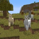 How to Breed Llamas in Minecraft