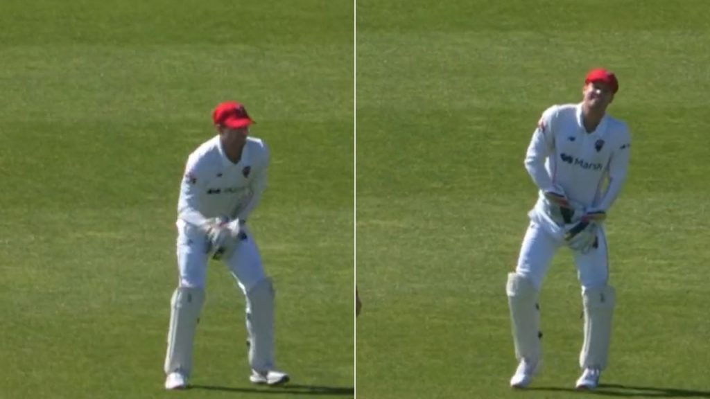 "Done some damage to himself": Alex Carey lands awkwardly on abdominal guard while grabbing catch in Sheffield Shield 2022-23
