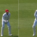 "Done some damage to himself": Alex Carey lands awkwardly on abdominal guard while grabbing catch in Sheffield Shield 2022-23