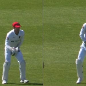 "Done some damage to himself": Alex Carey lands awkwardly on abdominal guard while grabbing catch in Sheffield Shield 2022-23