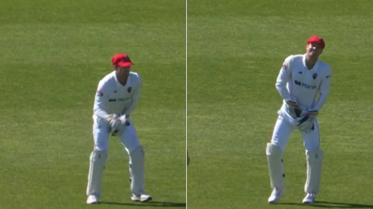 "Done some damage to himself": Alex Carey lands awkwardly on abdominal guard while grabbing catch in Sheffield Shield 2022-23