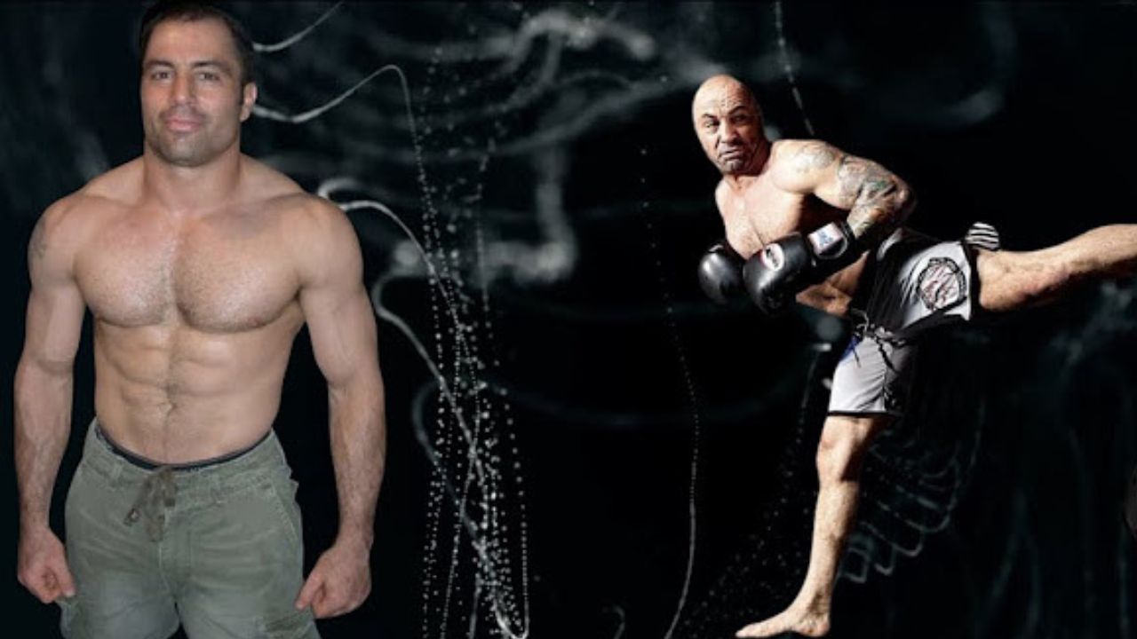 Joe Rogan Knockout