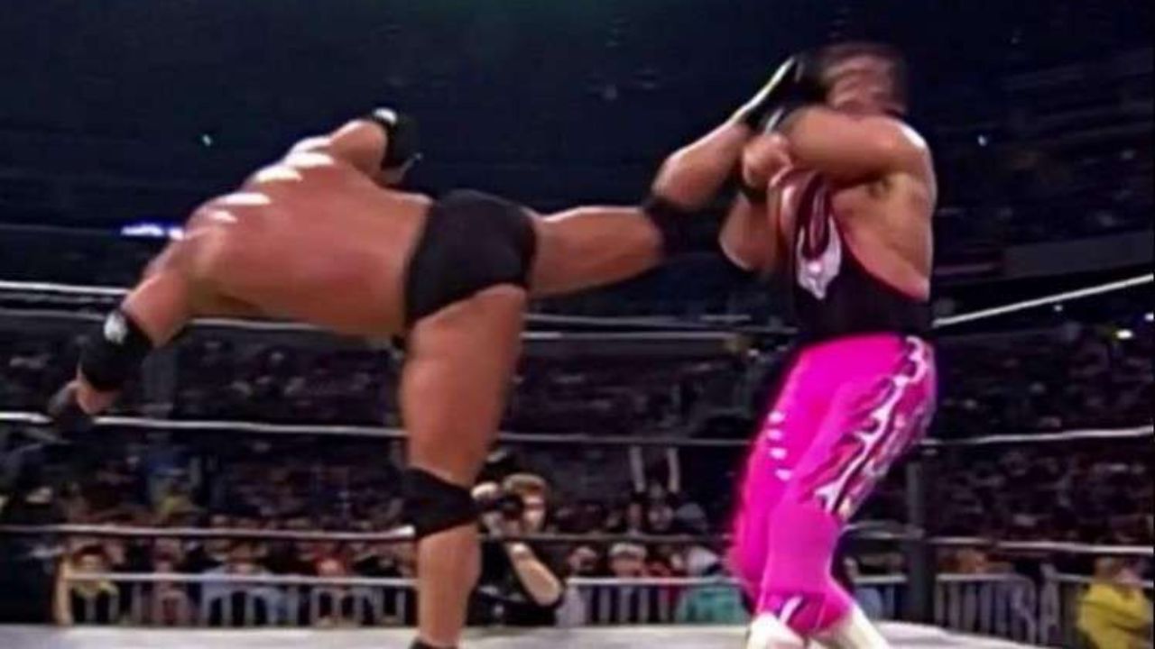 Goldberg Bret Hart