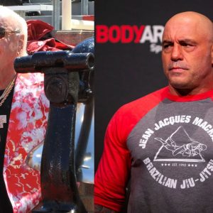 Ric Flair Joe Rogan