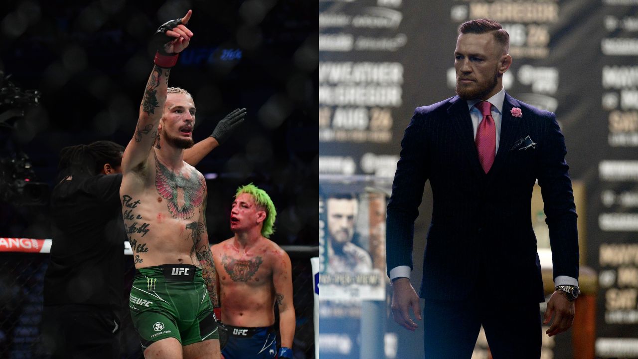 Conor McGregor Sean O'Malley