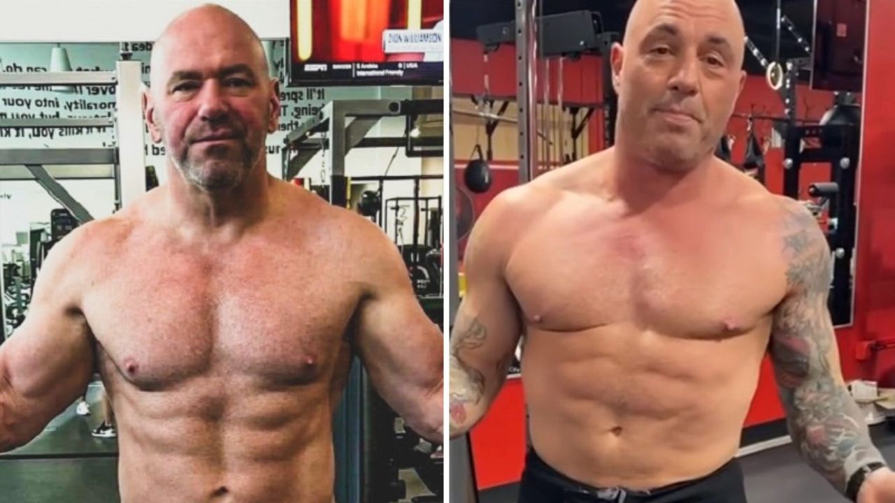 Joe Rogan Dana White