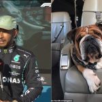 "Roscoe is the best travel pet": Lewis Hamilton shares his adorable first ever travel story with his pet dog
