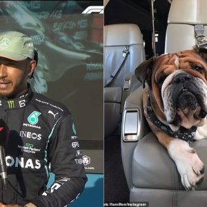 "Roscoe is the best travel pet": Lewis Hamilton shares his adorable first ever travel story with his pet dog