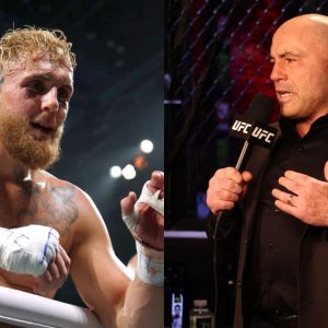 Joe Rogan Jake Paul