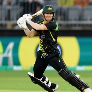David Warner has said that it will be a privilege for him if he can become the ODI captain of the Australian side once again.