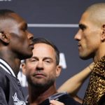 UFC 281 Preview and Predictions