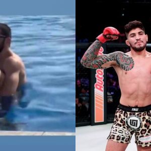 Dillon Danis Islam Makhachev
