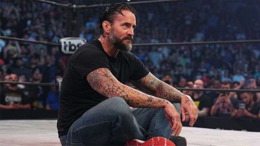 CM Punk Pro wrestling
