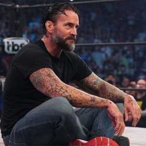 CM Punk Pro wrestling