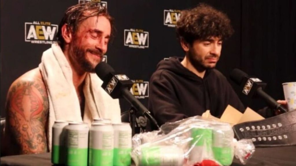 CM Punk AEW Fight Forever game