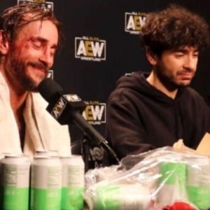 CM Punk AEW Fight Forever game